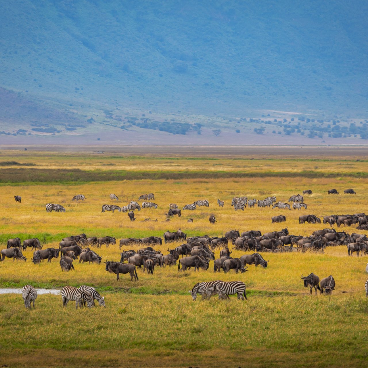 Arusha, Tanzania
