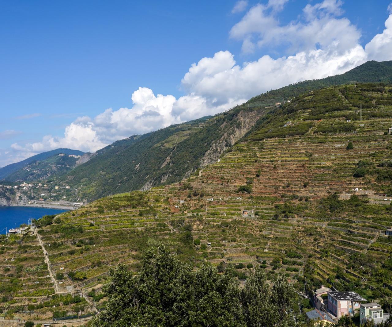 Cinque Terre Coastal Trail Hike — photo 2