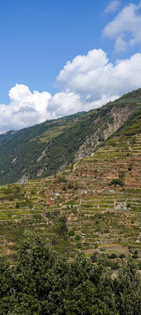 Cinque Terre Coastal Trail Hike — photo 2
