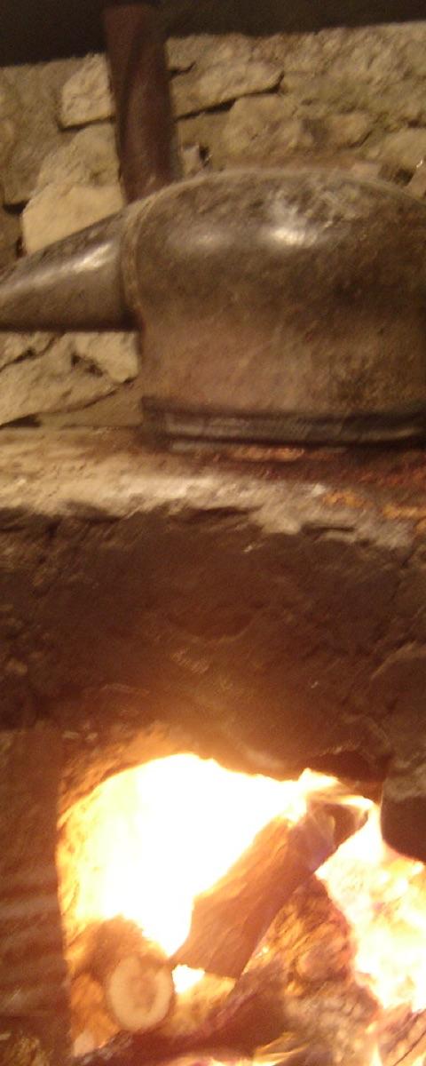 Crete Olive Oil & Raki Experience — photo 4
