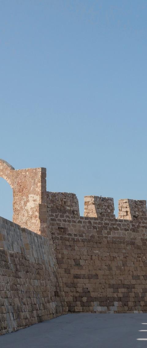 Crete Olive Oil & Raki Experience — photo 5