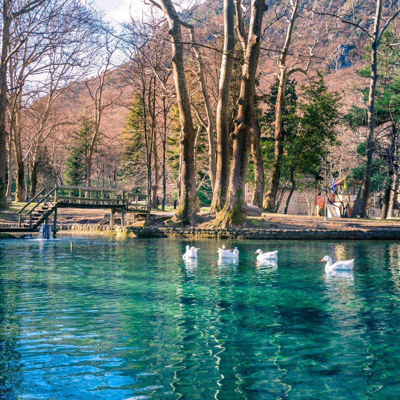 Day Trip: History, Tradition & Nature – Vergina, Veria, and Agios Nikolaos (Naoussa) — Veria, Greece (photo 5)