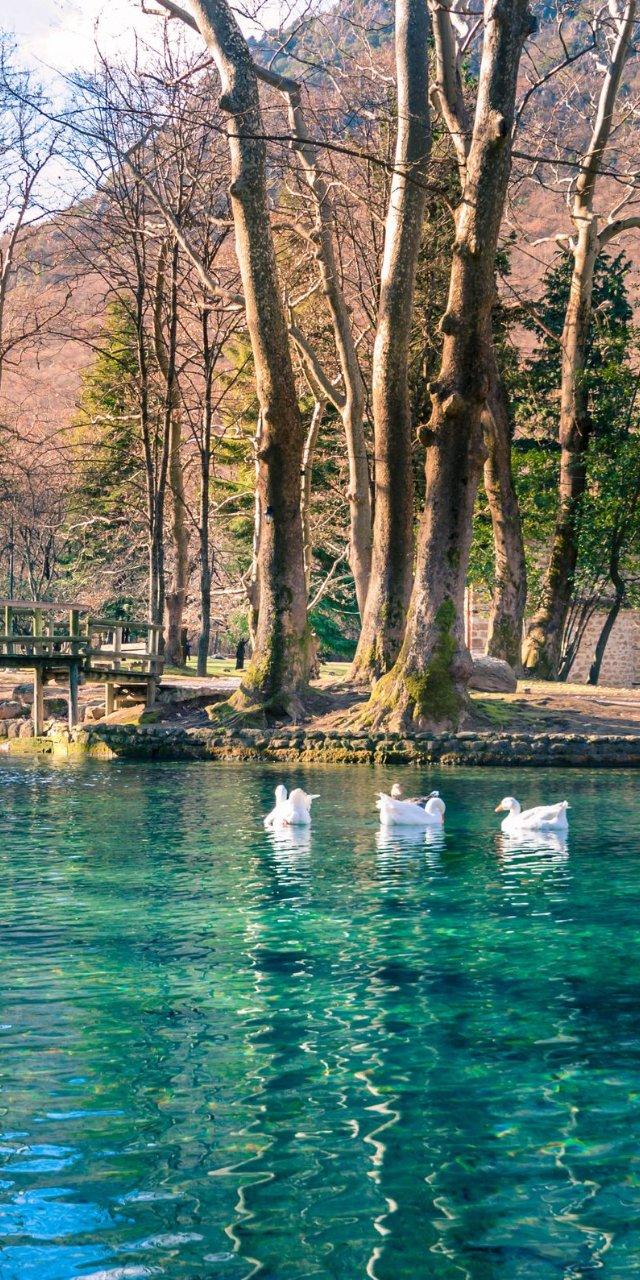 Day Trip: History, Tradition & Nature – Vergina, Veria, and Agios Nikolaos (Naoussa) — Veria, Greece (photo 5)
