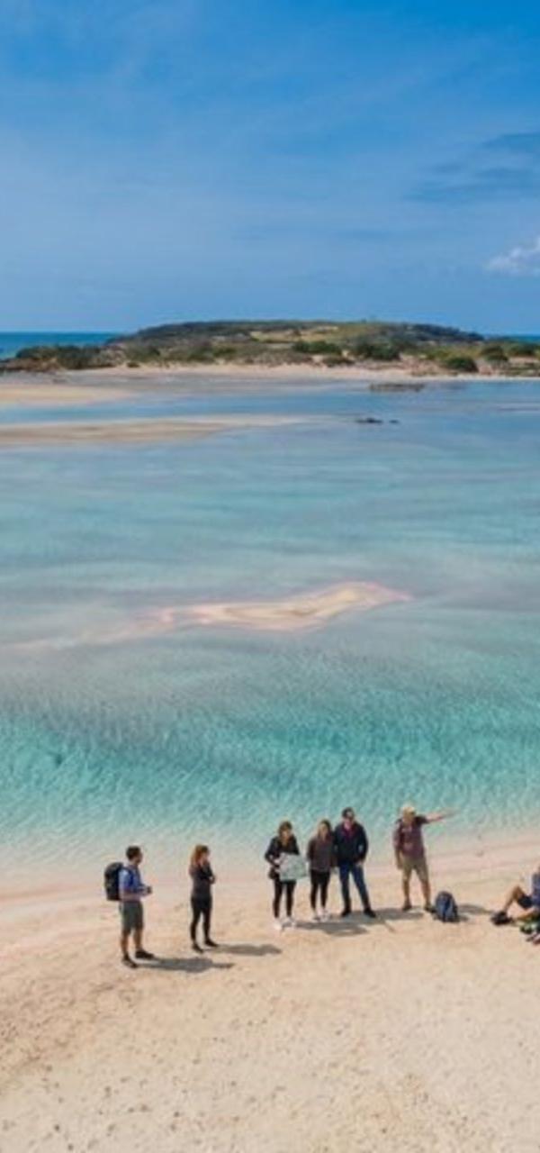 Elafonissi Pink Sand Beach: Private Luxury Tour from Chania