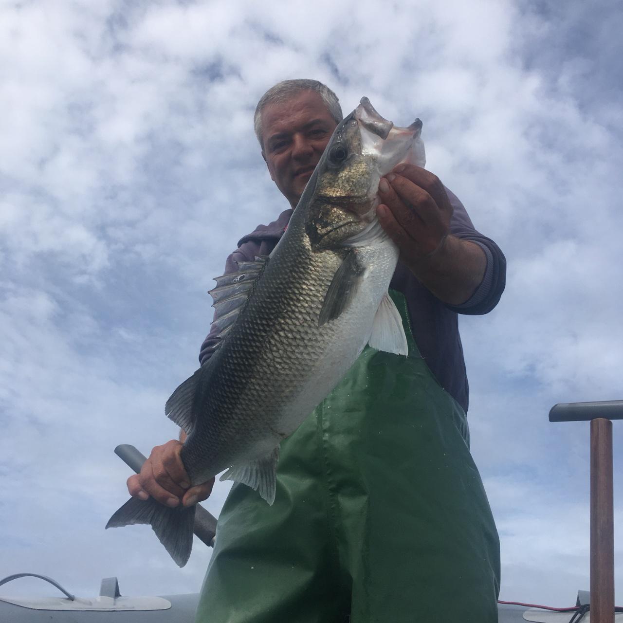 Fishing trip, photo 7 — Peniche, Por tugal