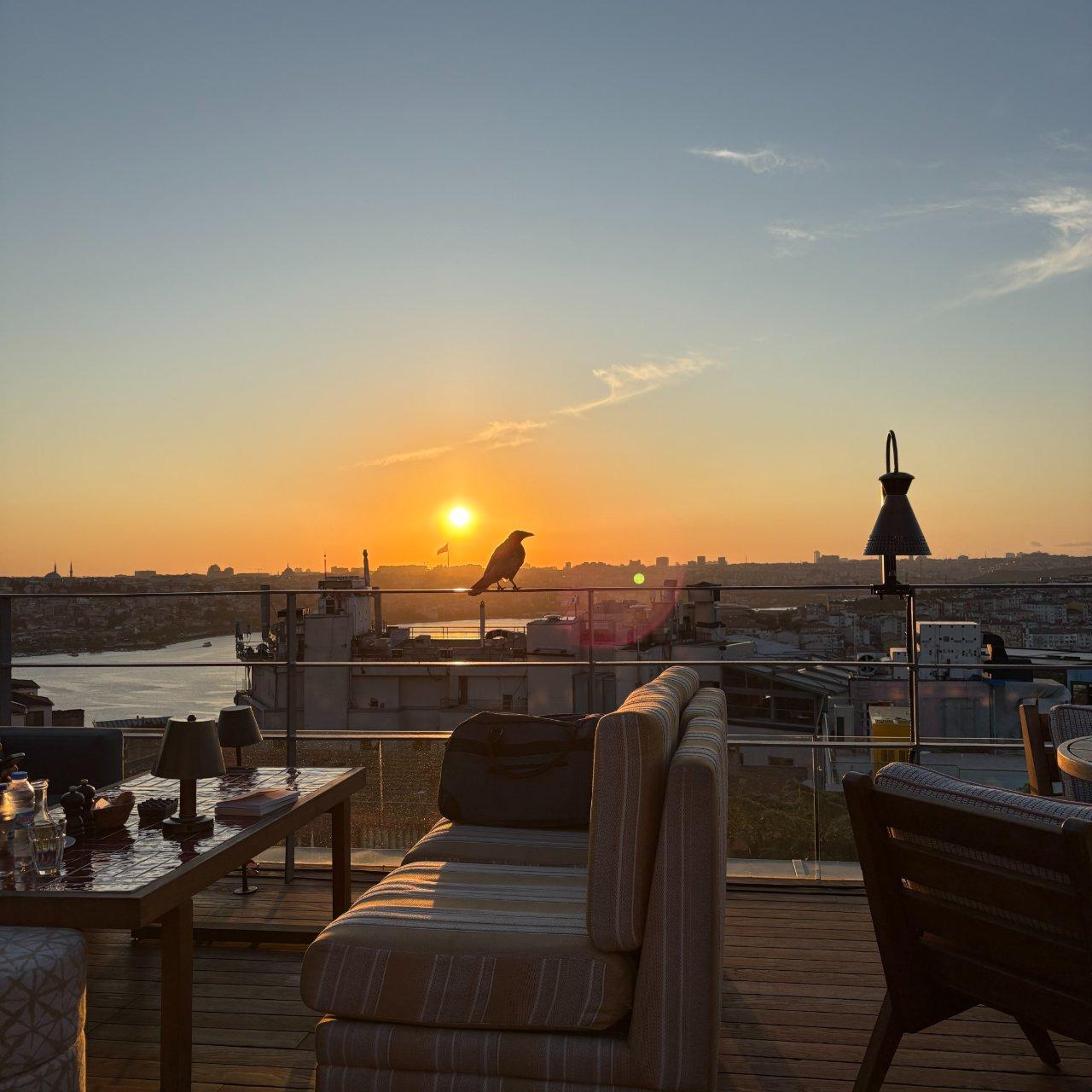 ISTANBUL after dark — city tours in Istanbul, Türkiye