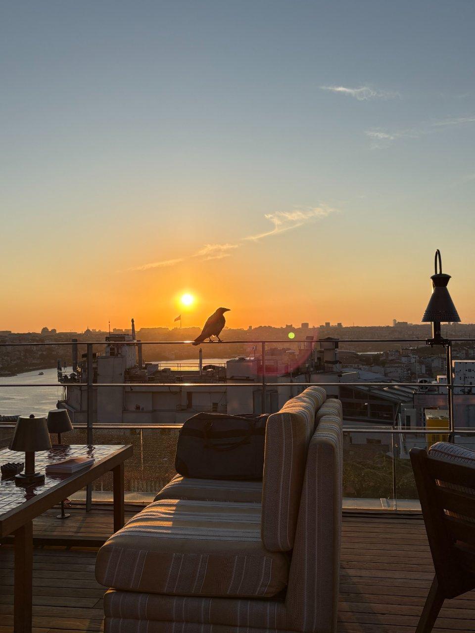 ISTANBUL after dark — city tours in Istanbul, Türkiye