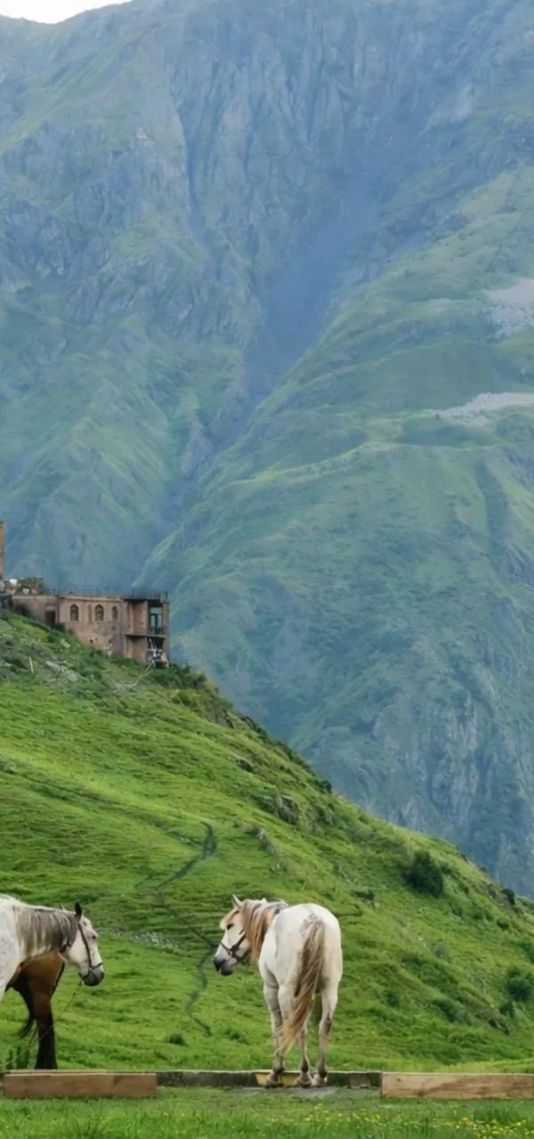 Kazbegi Mountain Adventure – Gudauri, Gergeti & Dariali Gorge — nature tour in Tbilisi, Georgia