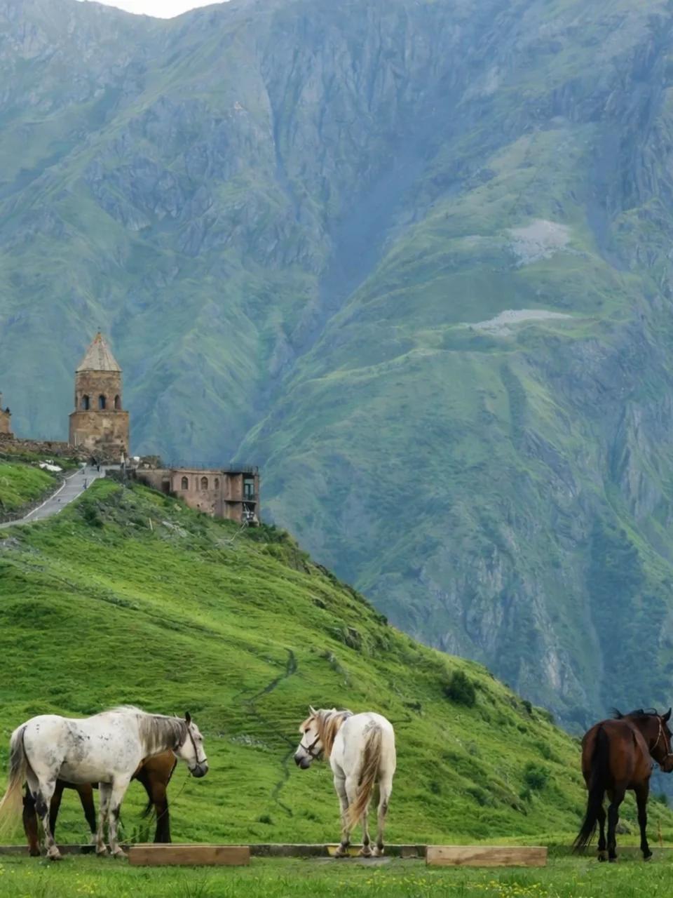 Kazbegi Mountain Adventure – Gudauri, Gergeti & Dariali Gorge — nature tour in Tbilisi, Georgia