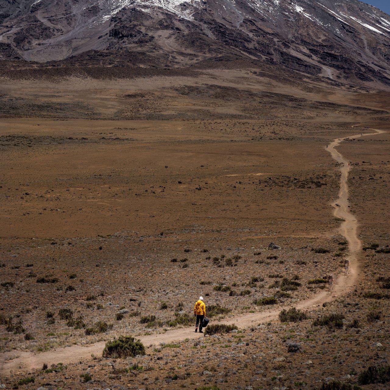 Kilimanjaro climb via Marangu route — Moshi,Kilimanjaro, Tanzania (photo 8)