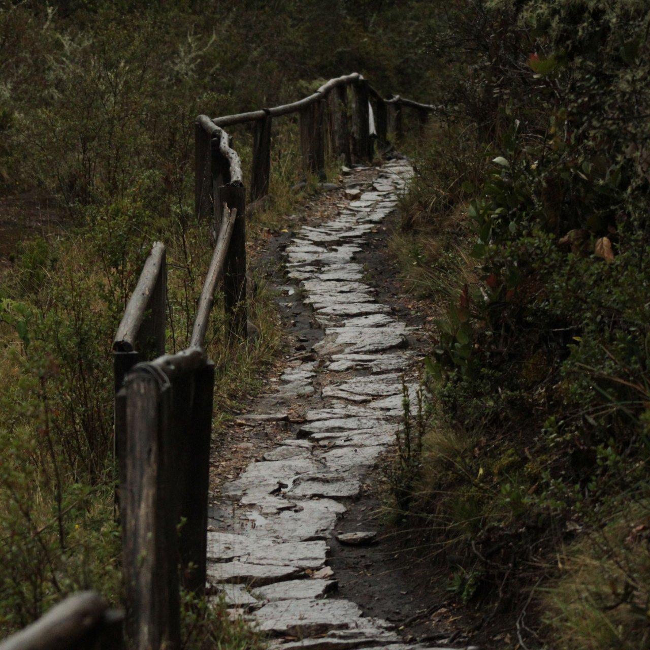 Kilimanjaro climb via Marangu route — Moshi,Kilimanjaro, Tanzania (photo 9)
