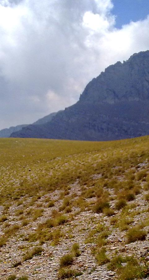 Mount Olympus Summit Trek — photo 4