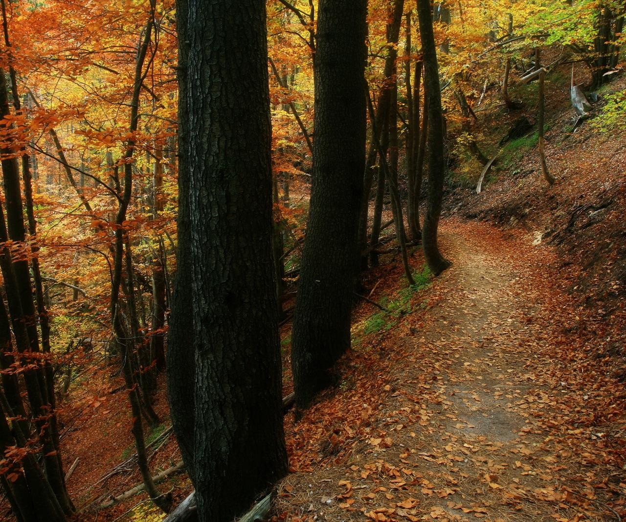 Mount Olympus Summit Trek — photo 5