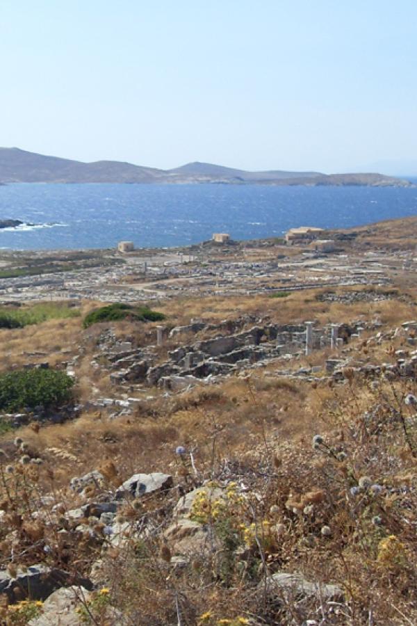 Mykonos Delos Island Archaeological Cruise