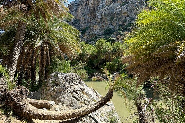 Private South Crete: Preveli Beach, Kourtaliotiko Gorge & Spili — Preveli, Greece (photo 7)