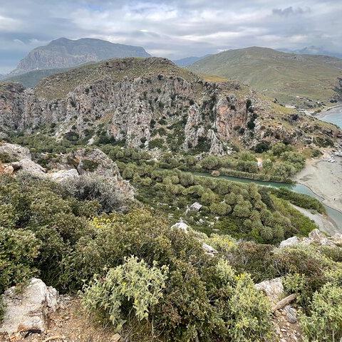 Preveli