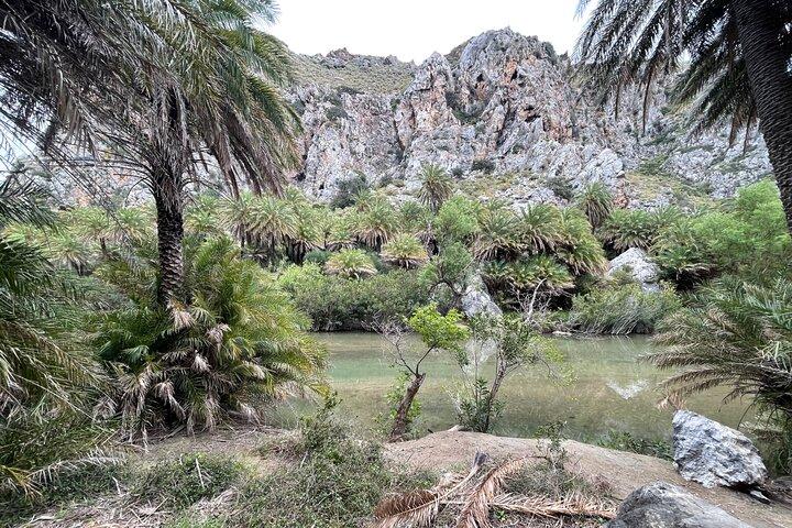 Private South Crete: Preveli Beach, Kourtaliotiko Gorge & Spili — Preveli, Greece (photo 2)