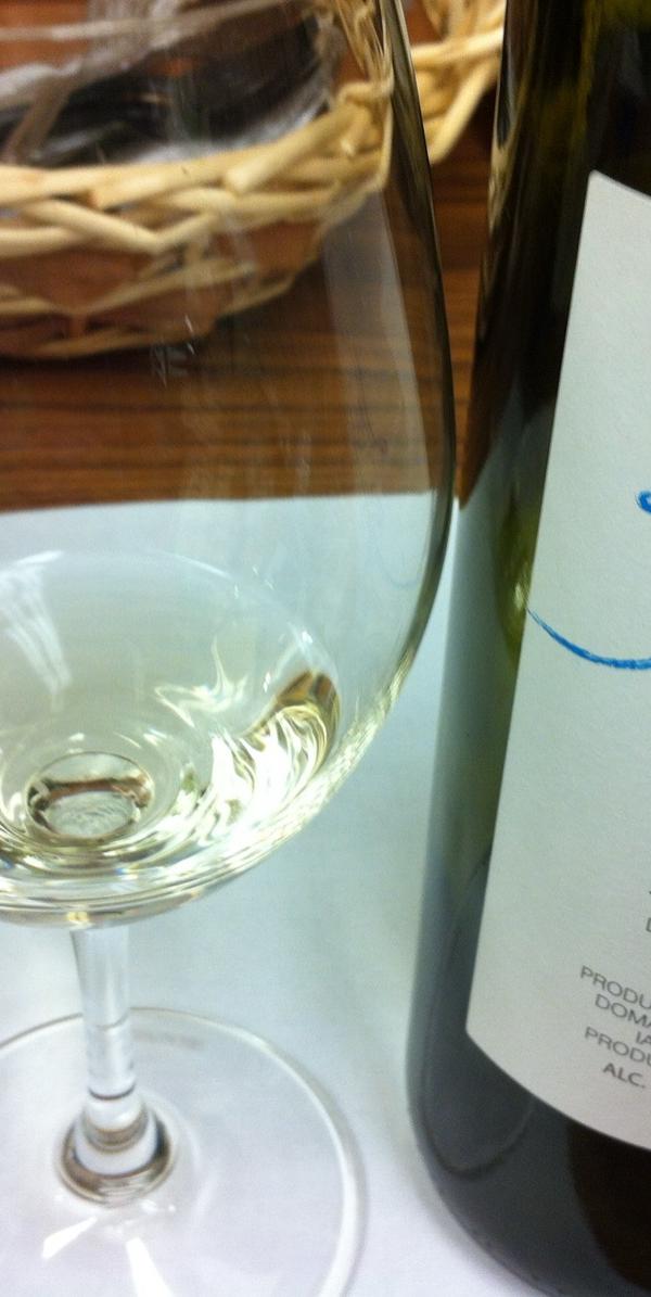 Santorini Wine Tasting & Vineyard Tour