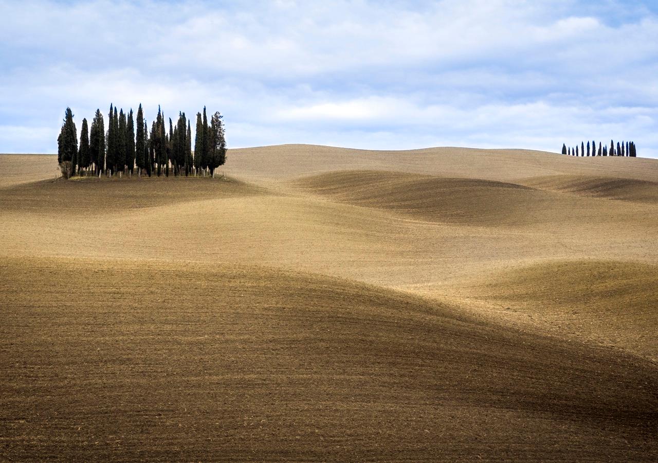 Tuscany Cooking Class & Farm Visit — photo 5
