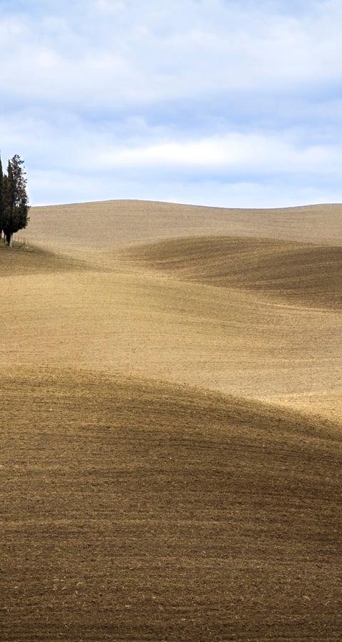 Tuscany Cooking Class & Farm Visit — photo 5