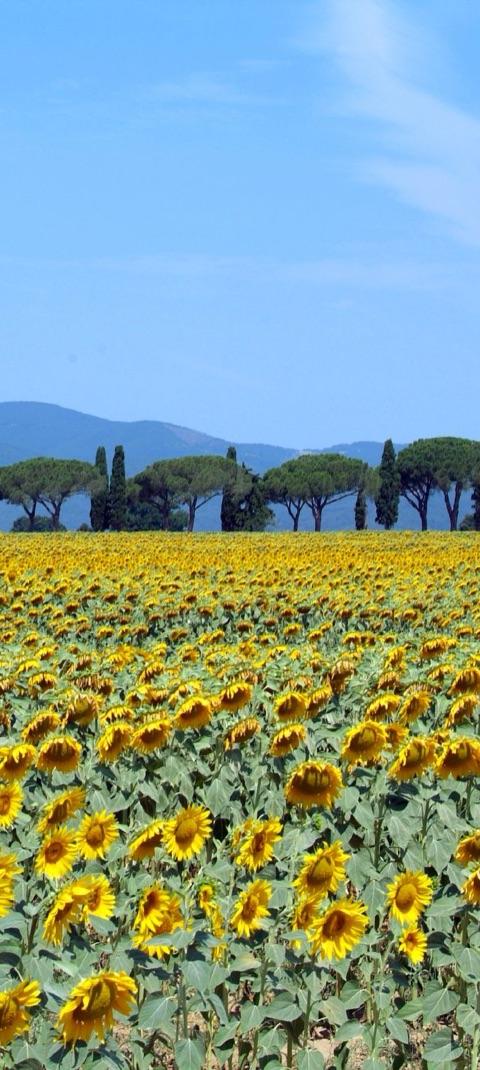 Tuscany Thermal Baths Day Escape — photo 5