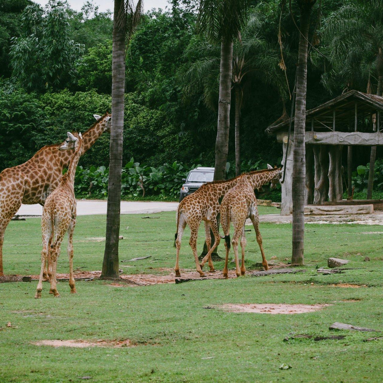 walking safari-makuyuni wildlife national park, photo 7 — Arusha, Tanzania