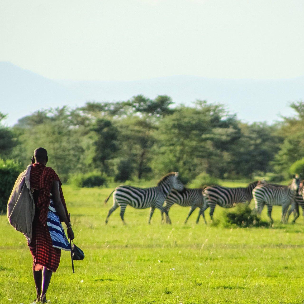 walking safari-makuyuni wildlife national park, photo 9 — Arusha, Tanzania